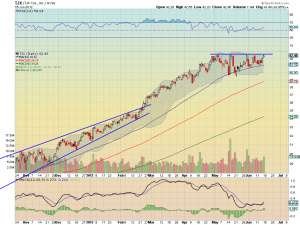 tjx